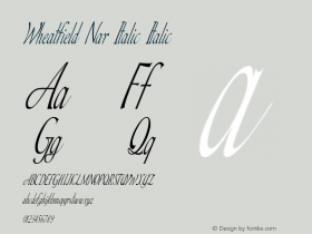 Wheatfield Nar Italic Italic Version 1.000图片样张