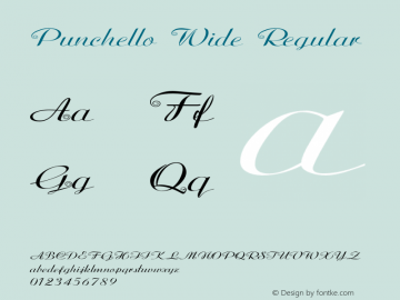 Punchello Wide Regular Version 1.000 Font Sample