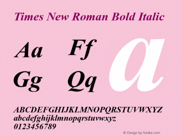 Times New Roman Bold Italic Version 2.45图片样张