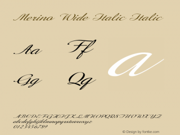 Merino Wide Italic Italic Version 1.000图片样张