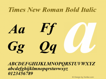 Times New Roman Bold Italic Version 2.50 Font Sample