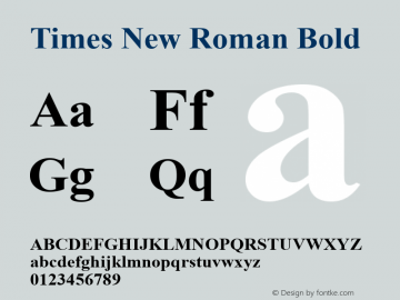 Times New Roman Bold Version 5.01图片样张