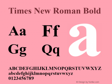 Times New Roman Bold Version 5.01.3x图片样张
