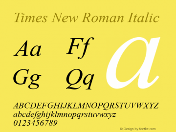 Times New Roman Italic Version 5.05图片样张