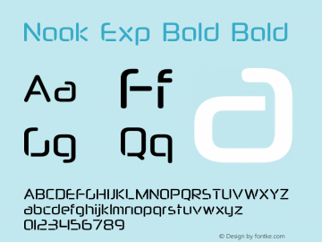 Nook Exp Bold Bold Version 1.000图片样张