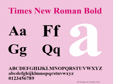 Times New Roman Bold Version 5.05图片样张