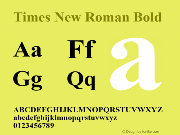 Times New Roman Bold Version 3.01图片样张