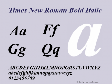 Times New Roman Bold Italic Version 5.05图片样张