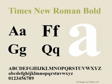 Times New Roman Bold Version 5.07 Font Sample
