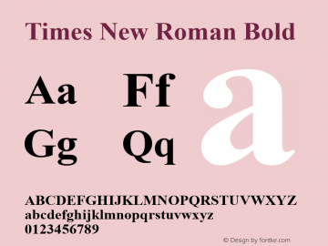 Times New Roman Bold Version 5.08图片样张