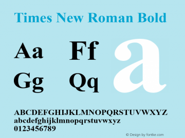 Times New Roman Bold Version 5.12图片样张