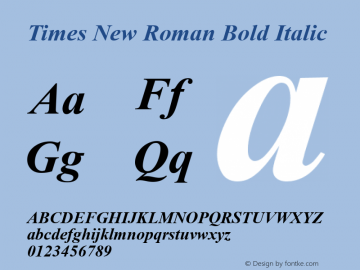 Times New Roman Bold Italic Version 5.70图片样张