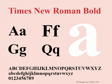 Times New Roman Bold Version 6.70图片样张