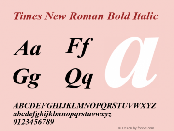 Times New Roman Bold Italic Version 5.20图片样张