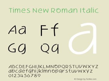 Times New Roman Italic Version 5.00.3x图片样张