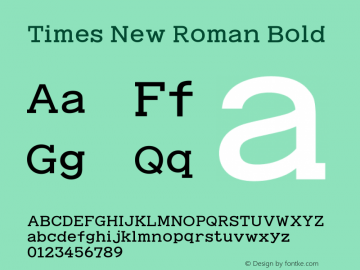 Times New Roman Bold Version 5.01.3x图片样张