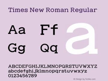 Times New Roman Regular Version 5.01.3x图片样张