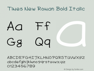 Times New Roman Bold Italic Version 5.00.3x图片样张