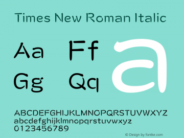 Times New Roman Italic Version 5.00.3x图片样张