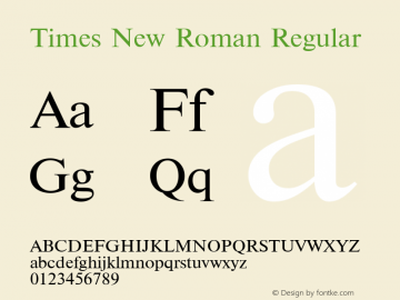 Times New Roman Regular 3.1 Font Sample