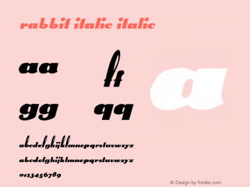 Rabbit italic Italic Unknown Font Sample