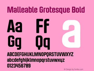 Malleable Grotesque Bold Version 1.001 Font Sample