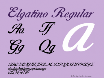 Elgatino Regular Version 6.00 Font Sample