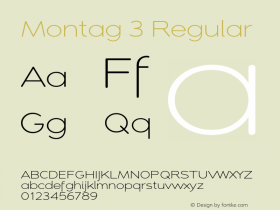 Montag 3 Regular Version 1.000 2007 initial release;com.myfonts.insigne.montag.light.wfkit2.34Qf Font Sample