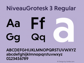 NiveauGrotesk 3 Regular Version 1.000;com.myfonts.easy.hvdfonts.niveau-grotesk.medium.wfkit2.version.42te Font Sample