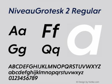 NiveauGrotesk 2 Regular Version 1.000;com.myfonts.hvdfonts.niveau-grotesk.medium-italic.wfkit2.42ti图片样张