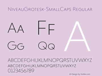 NiveauGrotesk-SmallCaps Regular Version 1.000;com.myfonts.hvdfonts.niveau-grotesk.extra-light-small-caps.wfkit2.42tq Font Sample