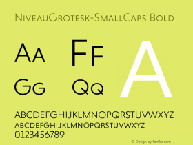 NiveauGrotesk-SmallCaps Bold Version 1.000;com.myfonts.easy.hvdfonts.niveau-grotesk.light-small-caps.wfkit2.version.42tm图片样张