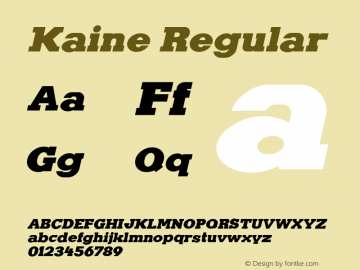 Kaine Regular 1.000;com.myfonts.northernblock.kaine.italic.wfkit2.3o6H图片样张