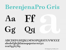 BerenjenaPro Gris Version 1.000图片样张