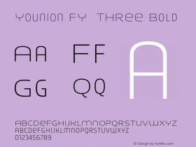 Younion FY  THREE Bold Version 1.000;com.myfonts.easy.fontyou.younion-fy.thin-three.wfkit2.version.42XE Font Sample