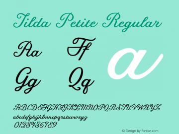 Tilda Petite Regular Version 1.000 Font Sample