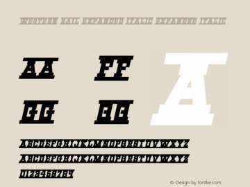 Western Rail Expanded Italic Expanded Italic Version 1.0; 2014图片样张