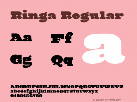 Ringa Regular 1.000;com.myfonts.mika-melvas.ringa.regular.wfkit2.3SUE Font Sample