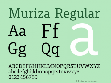 Muriza Regular Version 2.036;com.myfonts.easy.type-me-fonts.muriza.regular.wfkit2.version.4cBt Font Sample