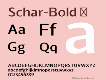 Schar-Bold ☞ Version 1.000;PS 001.000;hotconv 1.0.70;makeotf.lib2.5.58329;com.myfonts.easy.northernblock.schar.bold.wfkit2.version.4f8m图片样张