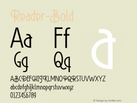 Reader-Bold ☞ Version 1.000;com.myfonts.easy.font-fabric.reader-bold.reader-bold.wfkit2.version.3rGH Font Sample