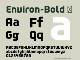 Environ-Bold ☞ Version 001.000;com.myfonts.easy.madtype.environ.bold.wfkit2.version.4hHF图片样张