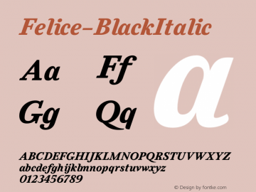 Felice-BlackItalic ☞ 1.000;com.myfonts.easy.nootype.felice.black-italic.wfkit2.version.464E Font Sample