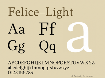 Felice-Light ☞ 1.000;com.myfonts.easy.nootype.felice.light.wfkit2.version.464J Font Sample