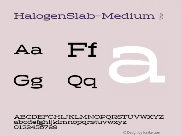 HalogenSlab-Medium ☞ Version 001.000;com.myfonts.easy.positype.halogen-slab.medium.wfkit2.version.4gyM图片样张