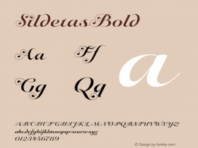 SildetasBold ☞ Version 1.000 2006 initial release;com.myfonts.easy.insigne.sildetas.bold.wfkit2.version.3oim Font Sample