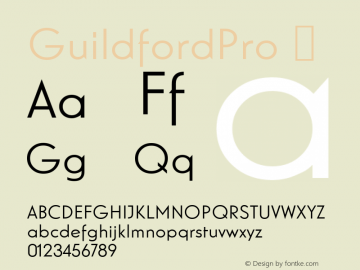 GuildfordPro ☞ Version 1.000;com.myfonts.easy.redrooster.guildford-pro.regular.wfkit2.version.3zyX图片样张