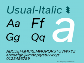 Usual-Italic ☞ Version 1.0;com.myfonts.easy.r-type.usual.italic.wfkit2.version.4kNj图片样张