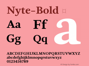 Nyte-Bold ☞ Version 1.030;PS 001.030;hotconv 1.0.70;makeotf.lib2.5.58329;com.myfonts.easy.dstype.nyte.bold.wfkit2.version.3Tey Font Sample