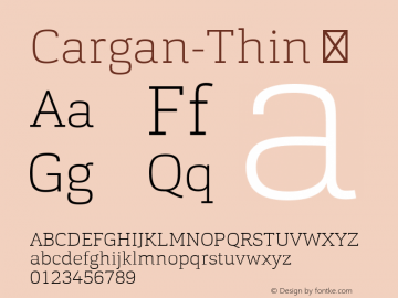 Cargan-Thin ☞ Version 1.000;com.myfonts.easy.hoftype.cargan.thin.wfkit2.version.4hVw图片样张